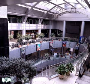 سینما-پردیس-زندگی